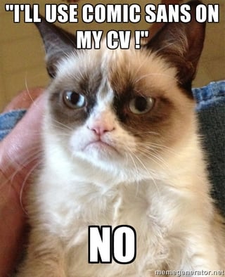 Easy ways to get your CV fixed for your Dublin job search- grumpy cat advice